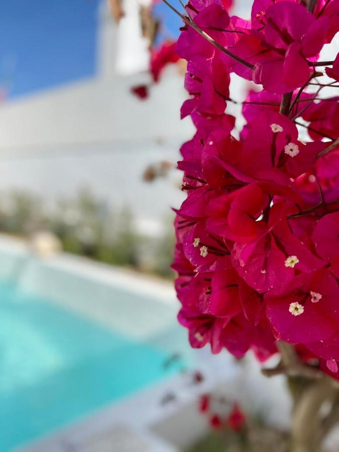 Villa Sal - Alvor Eksteriør billede